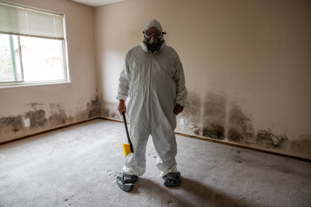 Best Commercial Mold Removal  in Fairfield, OH